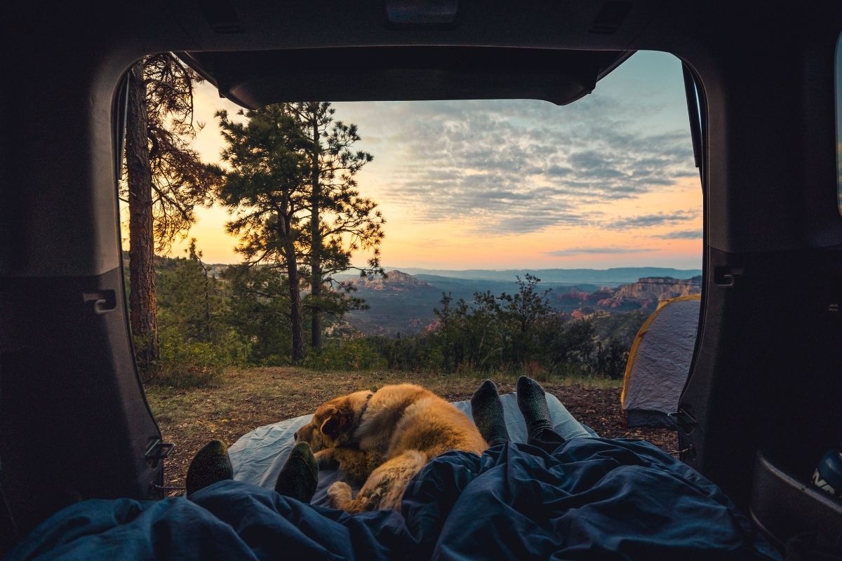 This New Instagram trend may just inspire you to take your cat on your next camping trip!