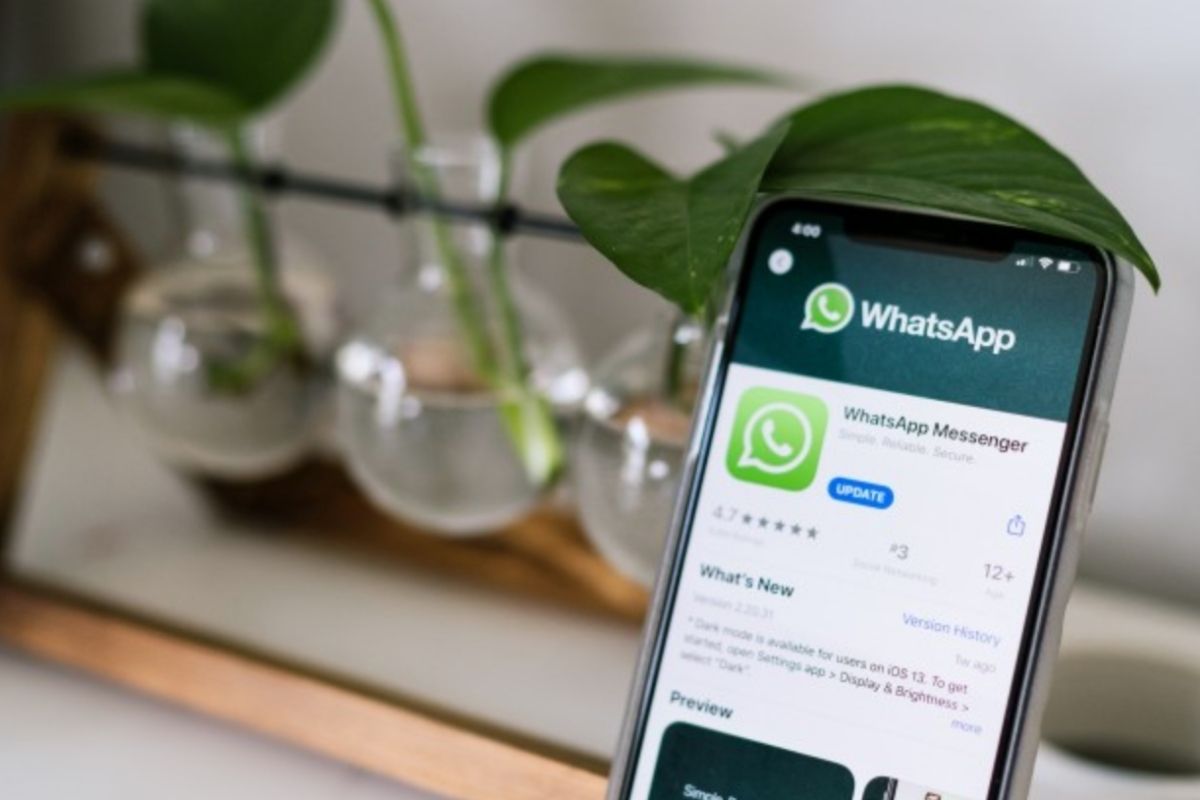 An upgrade for WhatsApp Business